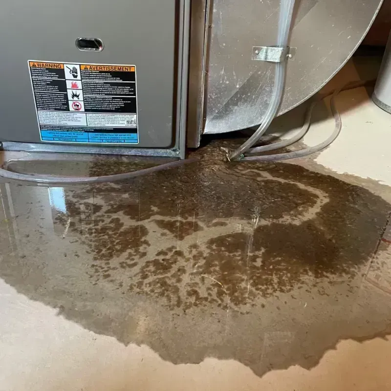 Appliance Leak Cleanup in North Pekin, IL